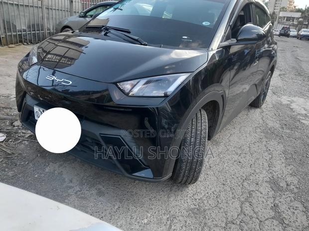 BYD Seagull 2024 Black