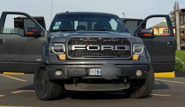 Ford F-150 2014 Gray