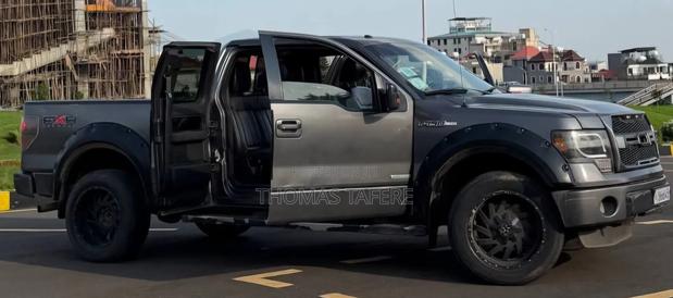 Ford F-150 2014 Gray