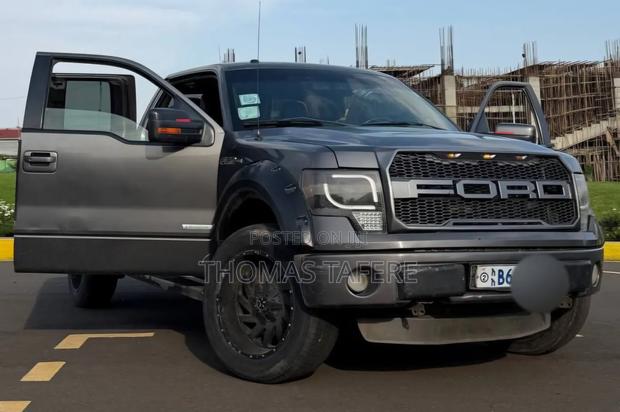 Ford F-150 2014 Gray