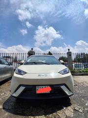 BYD Seagull 2024 White for sale