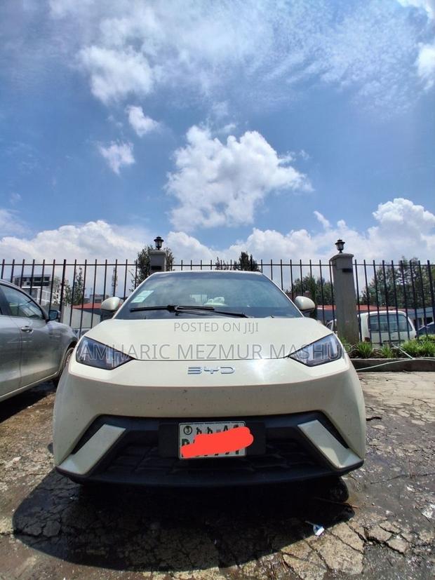 BYD Seagull 2024 White