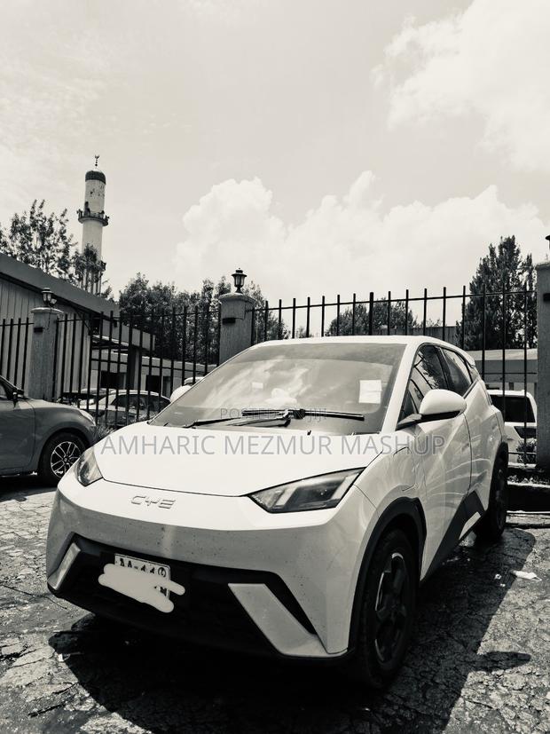 BYD Seagull 2024 White
