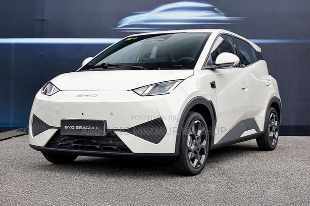 BYD Seagull 2024 White