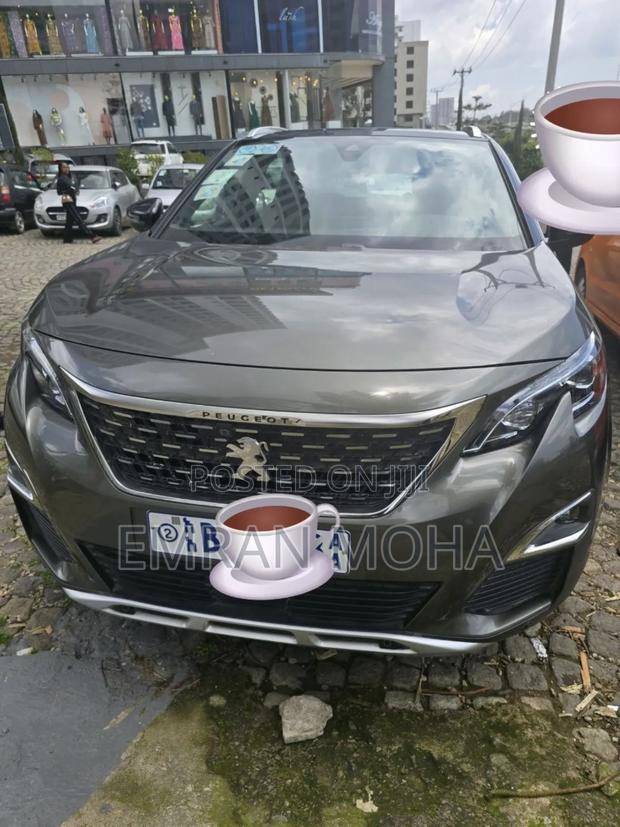 Peugeot 3008 2020 Gray