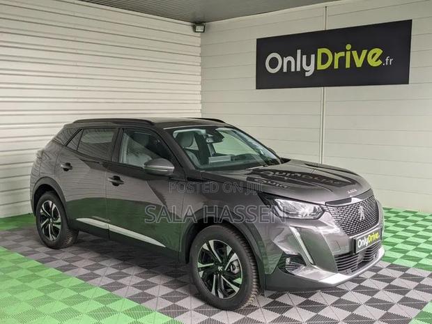 Peugeot 2008 2022 Gray