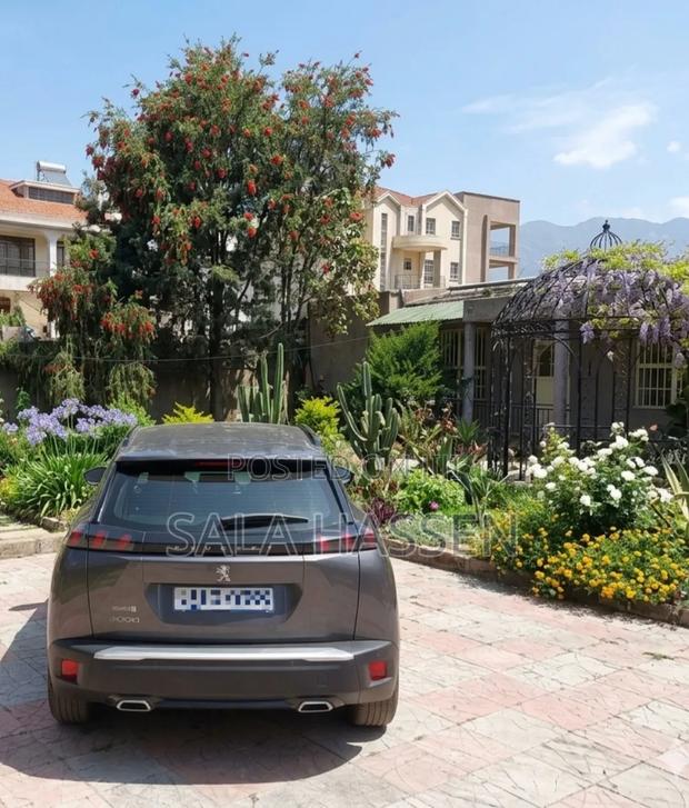 Peugeot 2008 2022 Gray