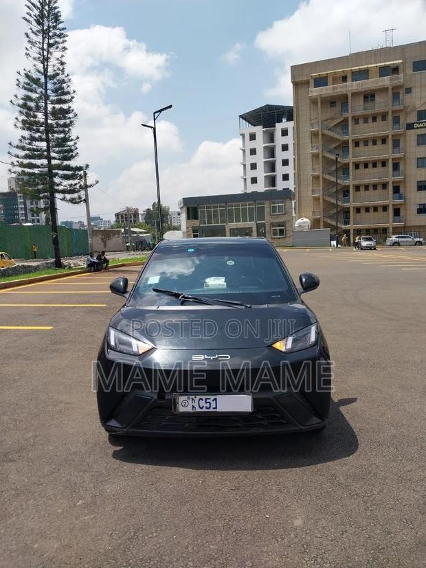 New BYD Seagull 2024 Black