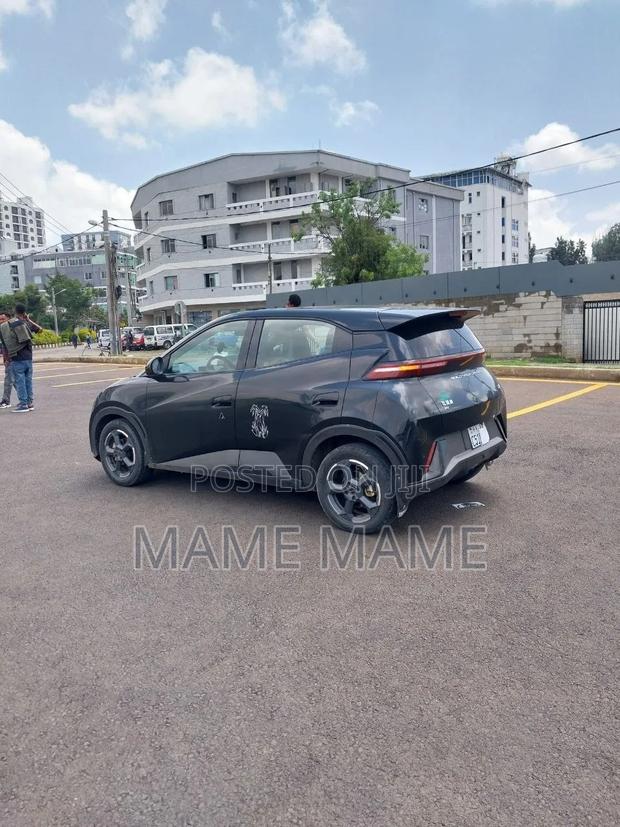 New BYD Seagull 2024 Black