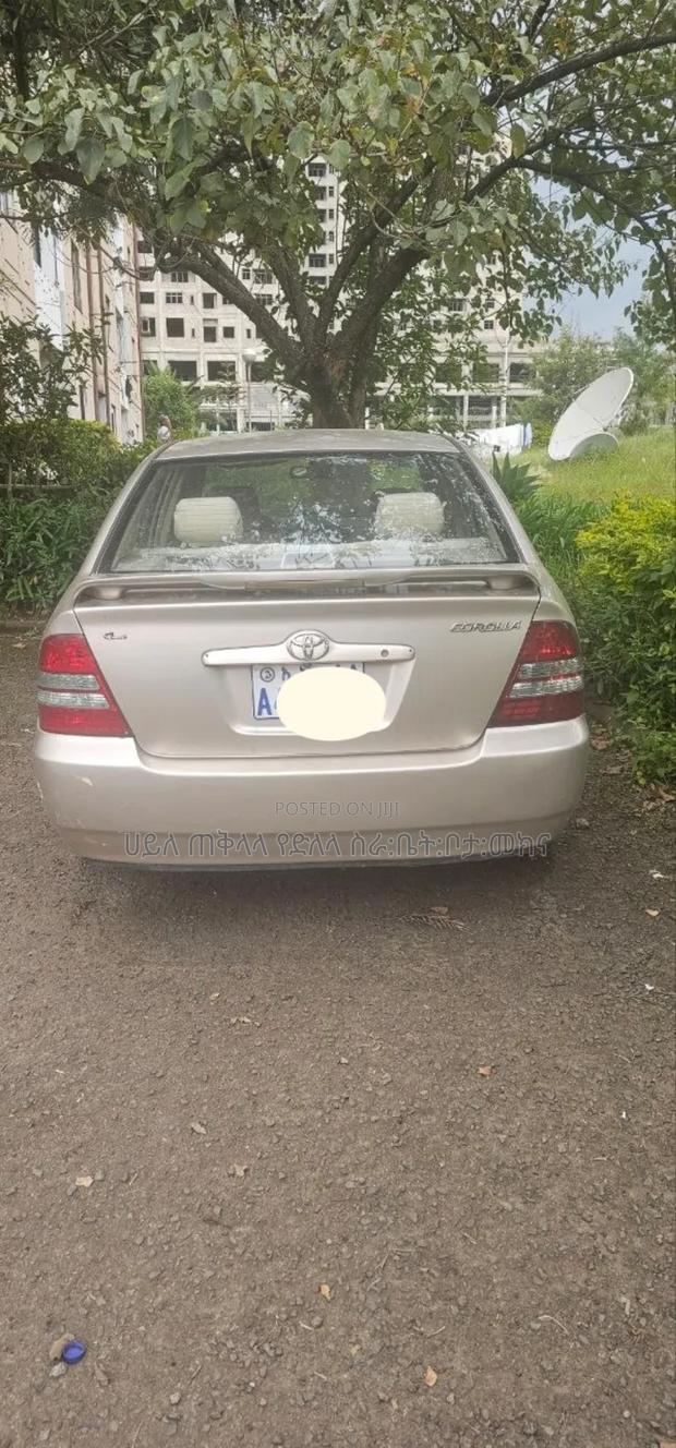 Toyota Corolla 2003 Purple