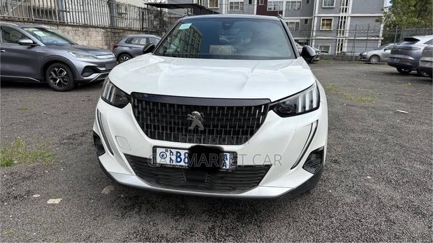 Peugeot 2008 2022 White