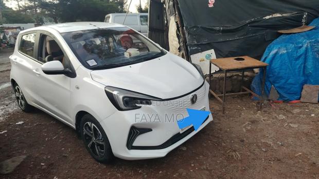 New Changan BenBen 2023 White