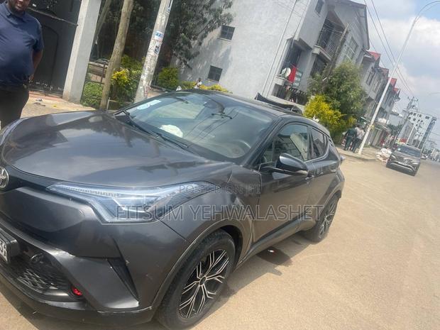 Toyota C-HR 2020 Gray