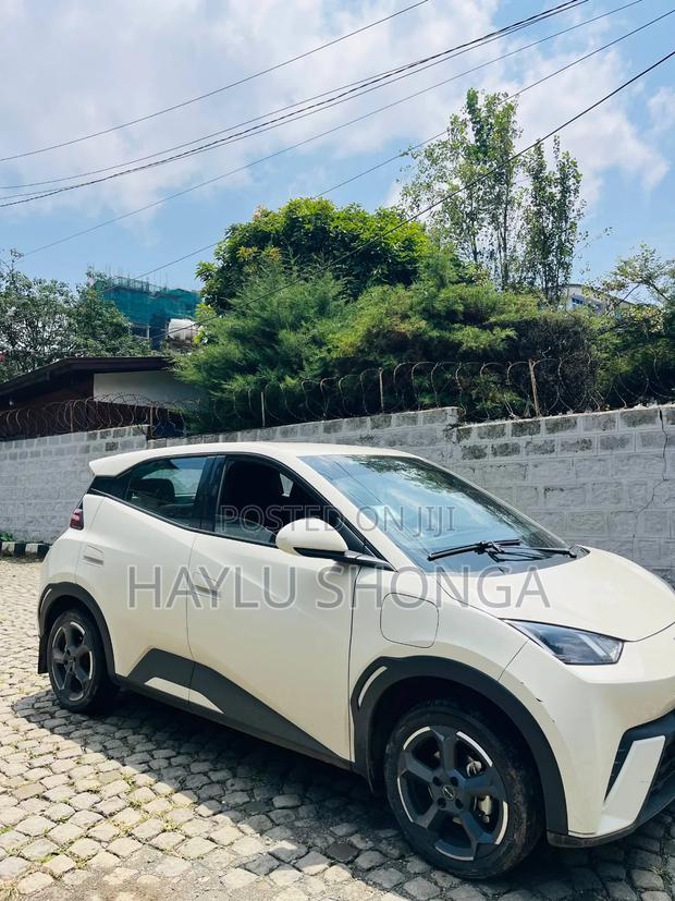 BYD Seagull 2024 Ivory