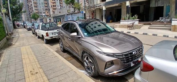 Hyundai Tucson Limited 2022 Blue
