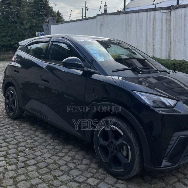 BYD Seagull 2024 Black