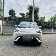 BYD Seagull 2024 White for sale