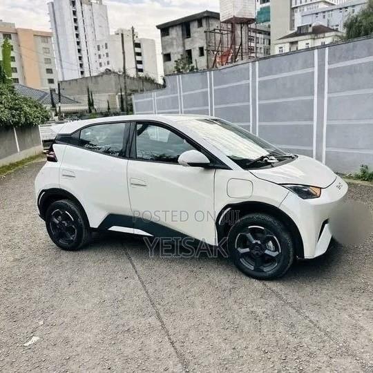 BYD Seagull 2024 White