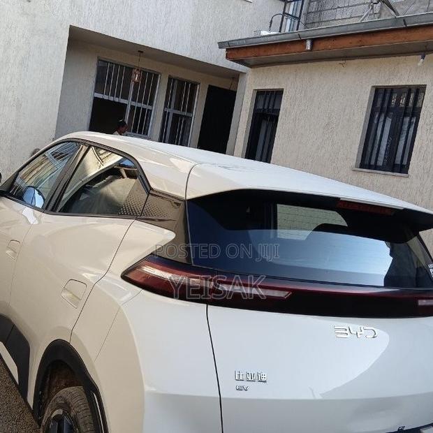 BYD Seagull 2025 White