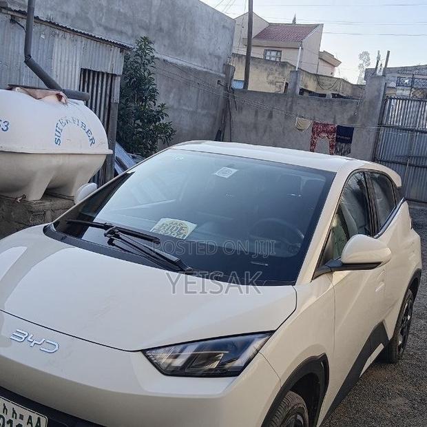 BYD Seagull 2025 White