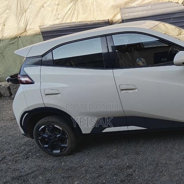 BYD Seagull 2025 White