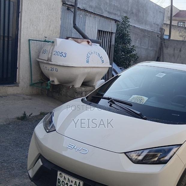 BYD Seagull 2025 White