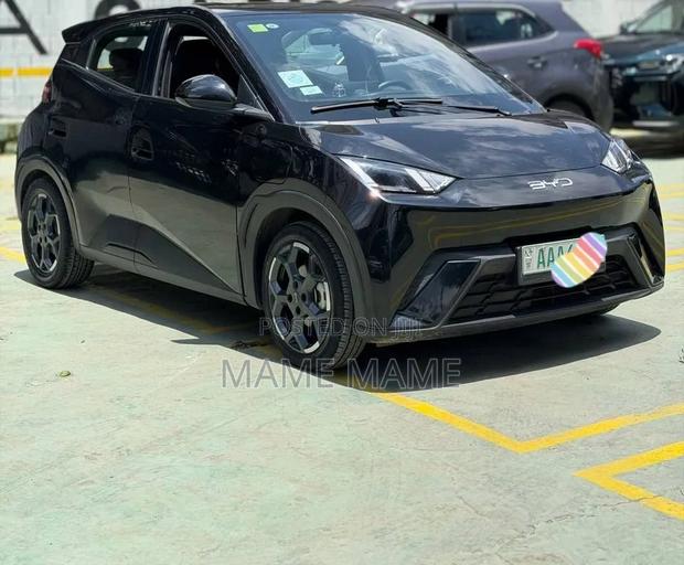 New BYD Seagull 2025 Black