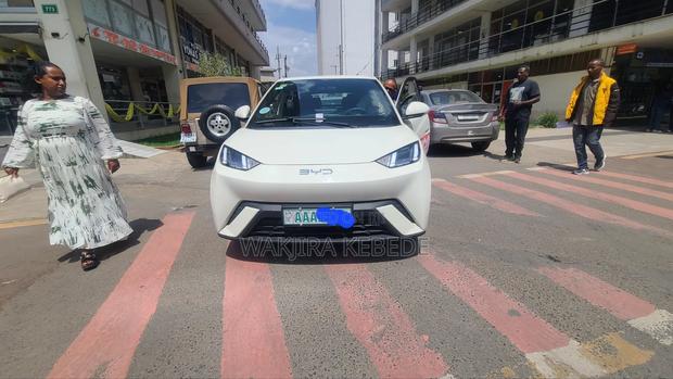 New BYD Seagull 2025 White
