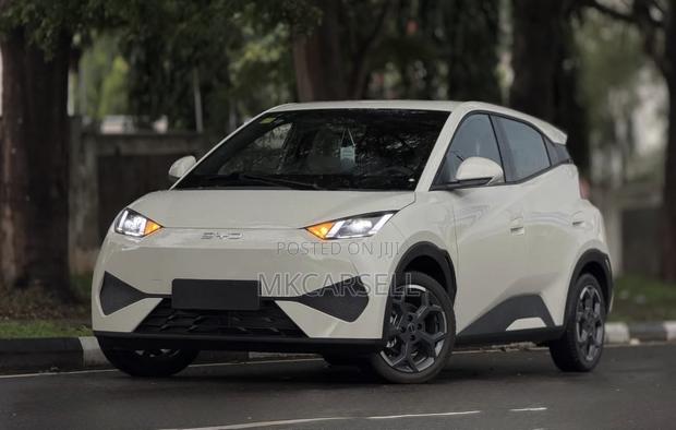 New BYD Seagull 2025 Ivory