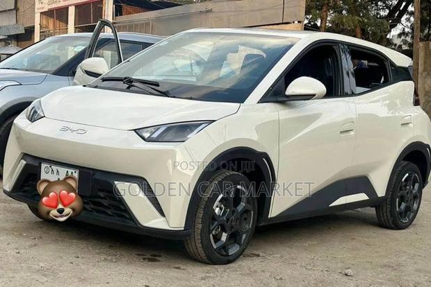 BYD Seagull 2025 Gray