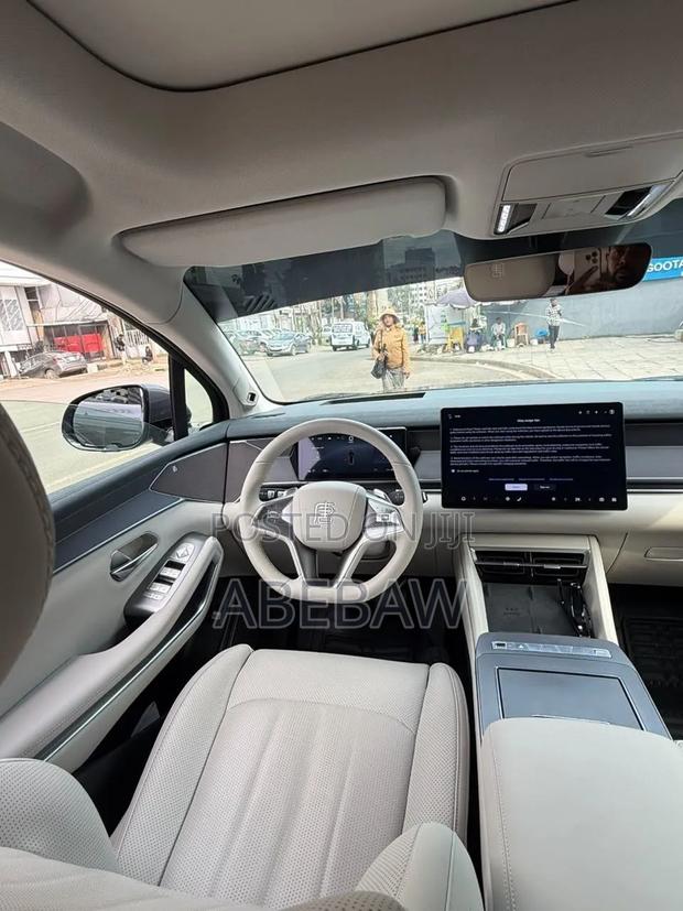 BYD Tang EV 2025 Gray