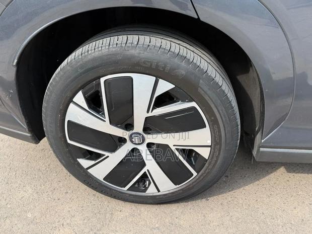 BYD Tang EV 2025 Gray