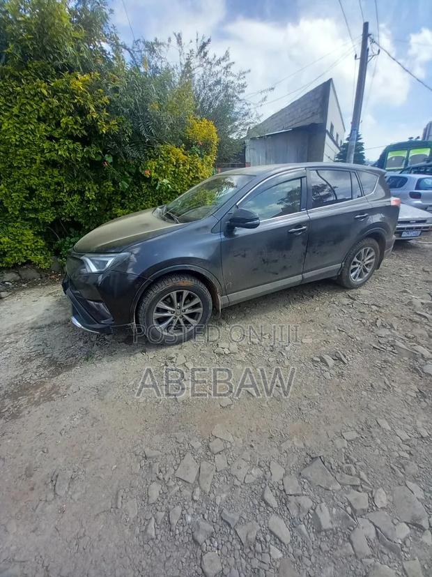 BYD Tang EV 2025 Gray