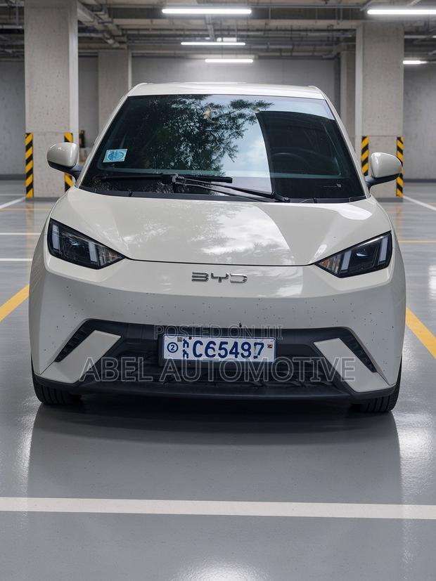 BYD Seagull 38 kWh FWD 2024 White