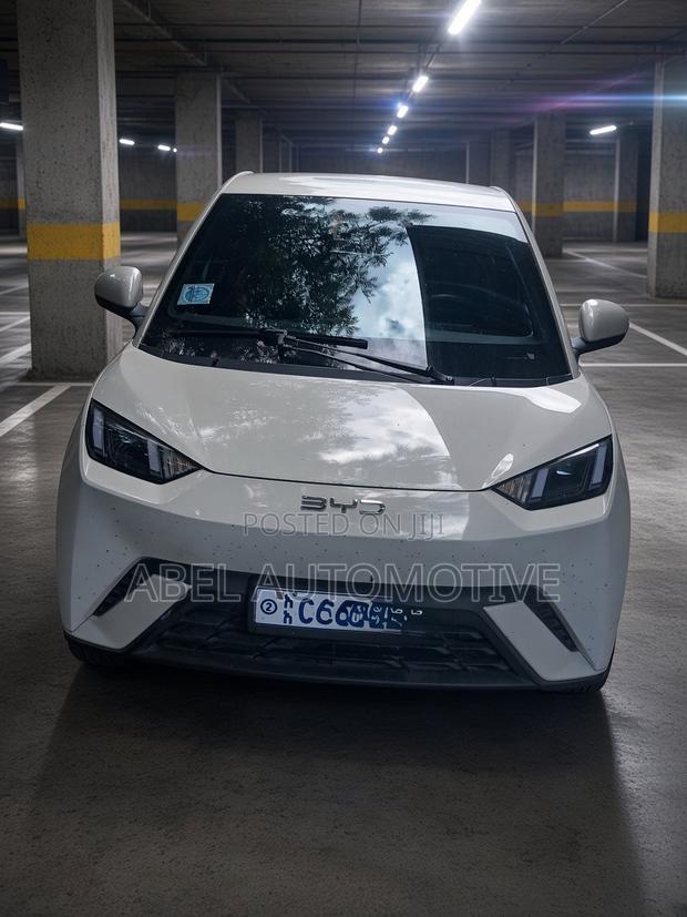 BYD Seagull 38 kWh FWD 2024 White