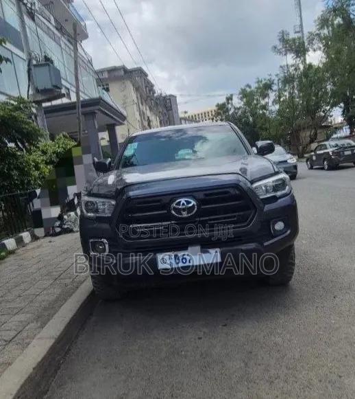 Toyota Tacoma 2019 Gray
