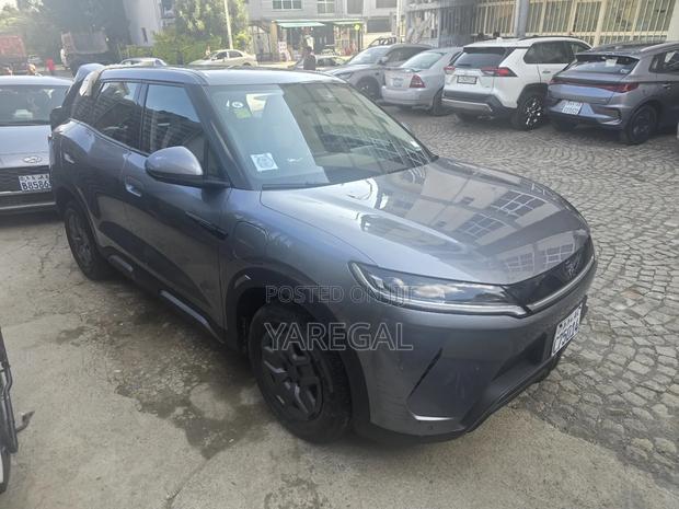 BYD Yuan Up 2024 Gray