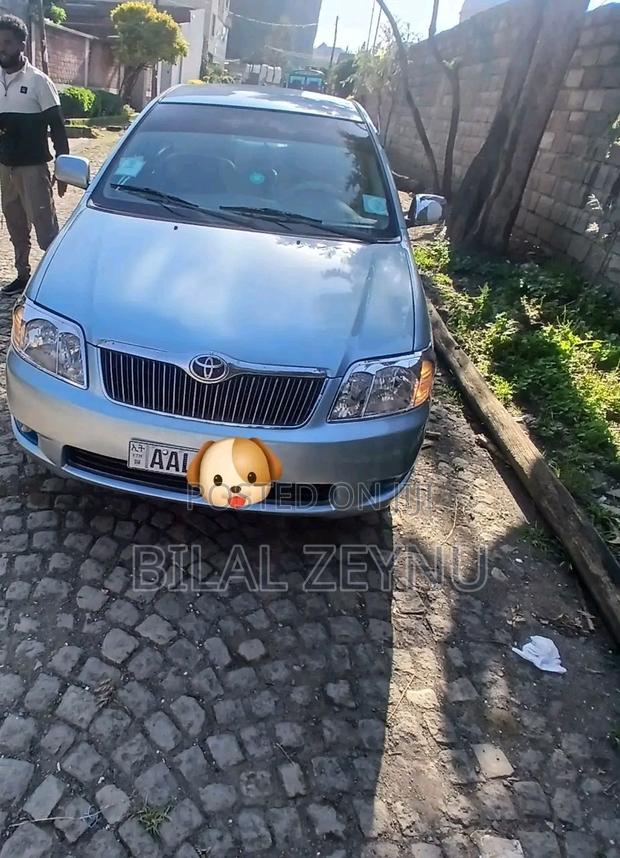 Toyota Corolla 2007 Gray