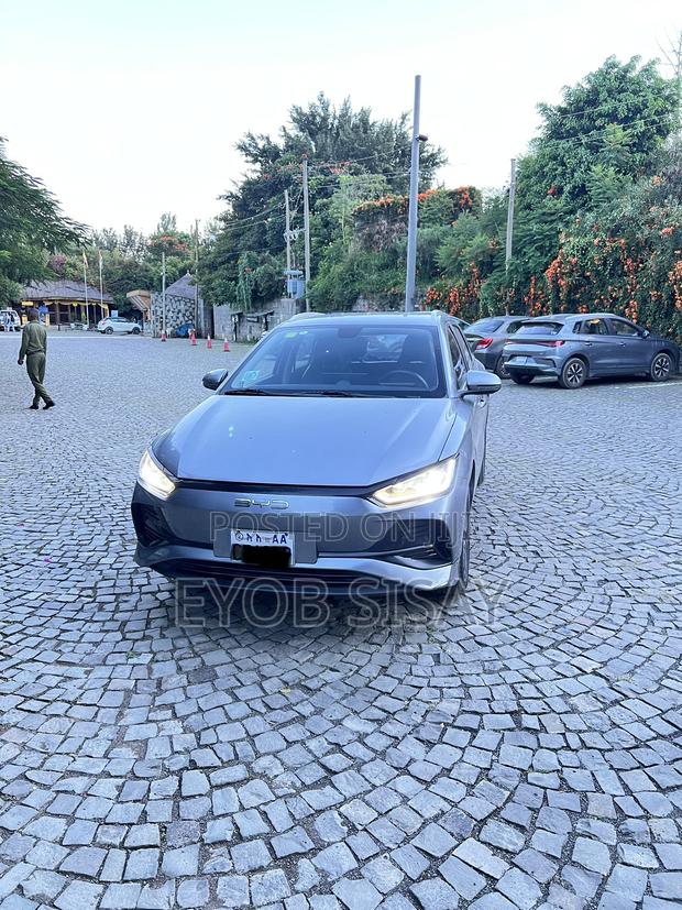 BYD E2 43 kWh 94 hp FWD 2024 Gray