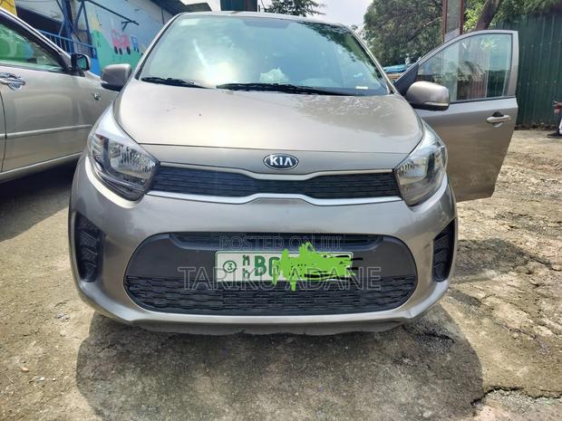 Kia Picanto 2020 Brown