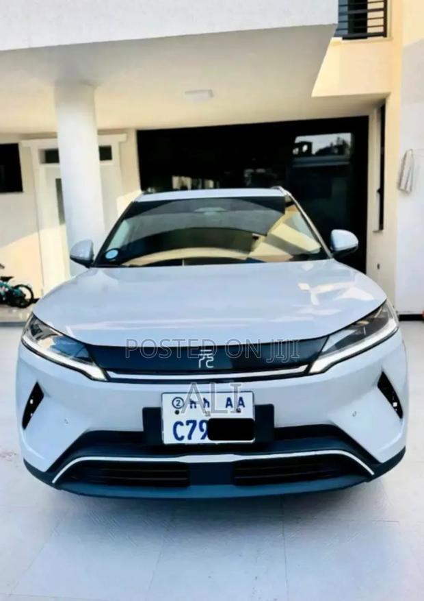 BYD Yuan Up 2025