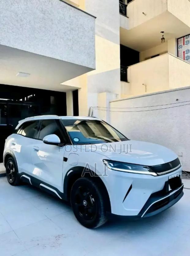 BYD Yuan Up 2025