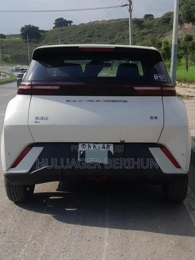 BYD Seagull 2024 White