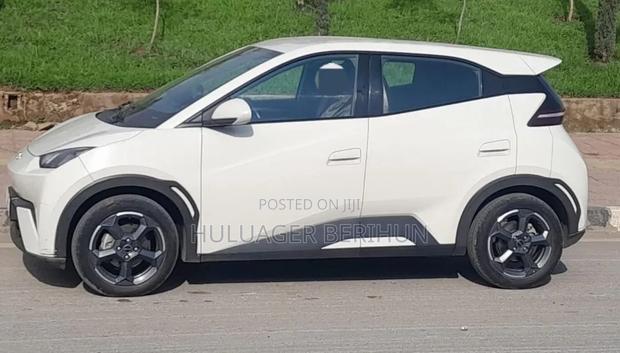 BYD Seagull 2024 White