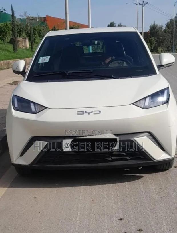 BYD Seagull 2024 White