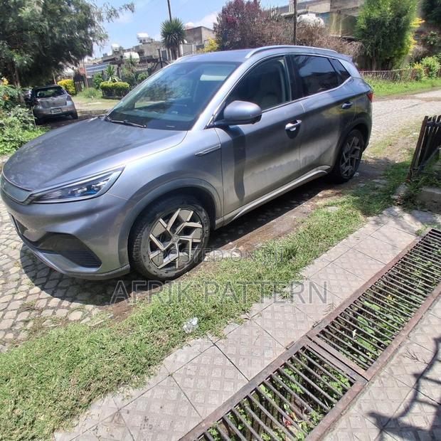 BYD Yuan Plus 2024 Gray