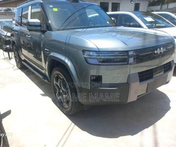 New BYD Leopard 7 2025 Gray