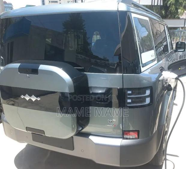 New BYD Leopard 7 2025 Gray