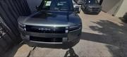 New BYD Leopard 7 2025 Green for sale