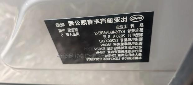 BYD Sealion 06 EV 2025 Beige